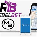 mollybet bet affiliates